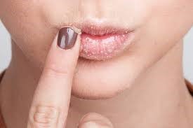 bibir